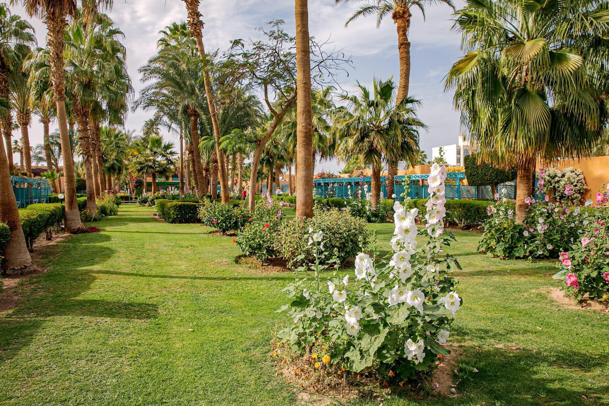 Giftun Azur Resort Хургада Екстериор снимка