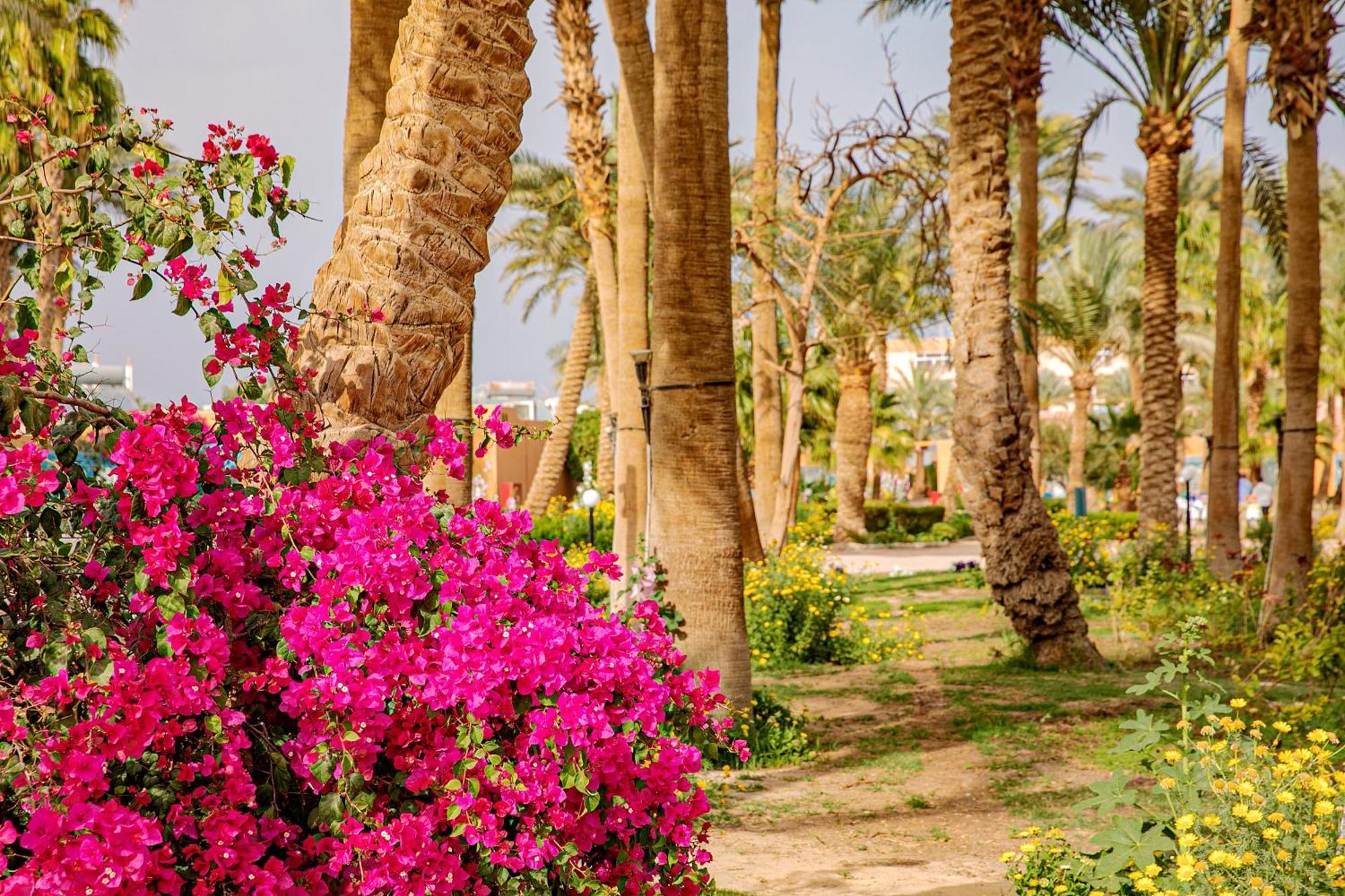 Giftun Azur Resort Хургада Екстериор снимка
